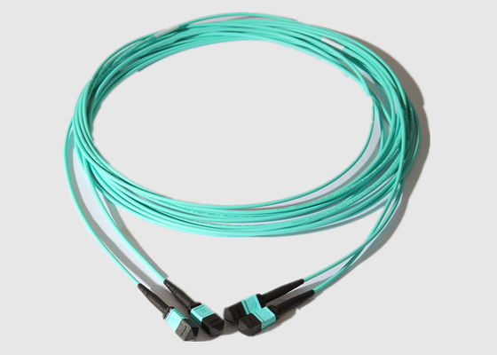 12 de Kabel van de kernom4 MTP Boomstam