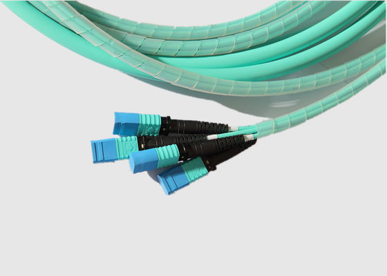 12 de Kabel van de kernom4 MTP Boomstam